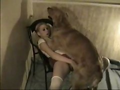 Bitch in stockings fucked by a large dog