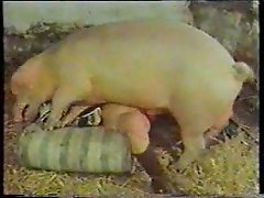 Farm sex adventure: redneck piggy pleaser